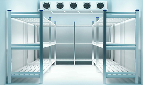 shutterstock_1962263056-min-1-scaled-e1635756245968