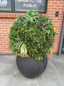 WhatsApp Image 2024-01-23 at 08.22.29_55907f75